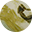 奢石
